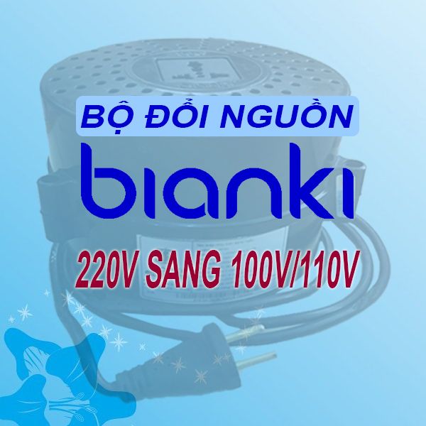 Bộ đổi nguồn 220V sang 110V - BIANKI